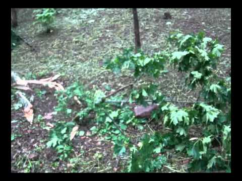 Ceļojums uz Latgali.