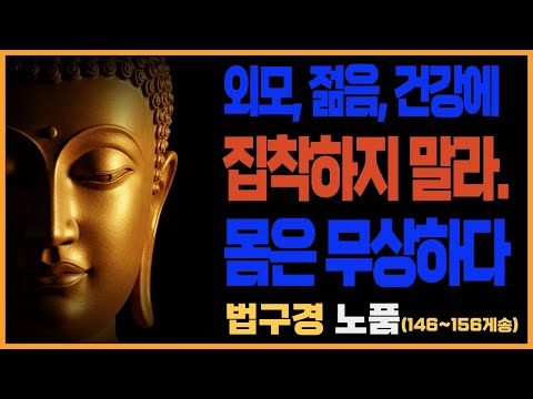 부처님 말씀_법구경 제11품 노품(146~156게송) ㅣ 늙음과 무상, 그리고 깨달음의 가르침, 불교말씀, 불교명상말씀, 불교, 불교철학