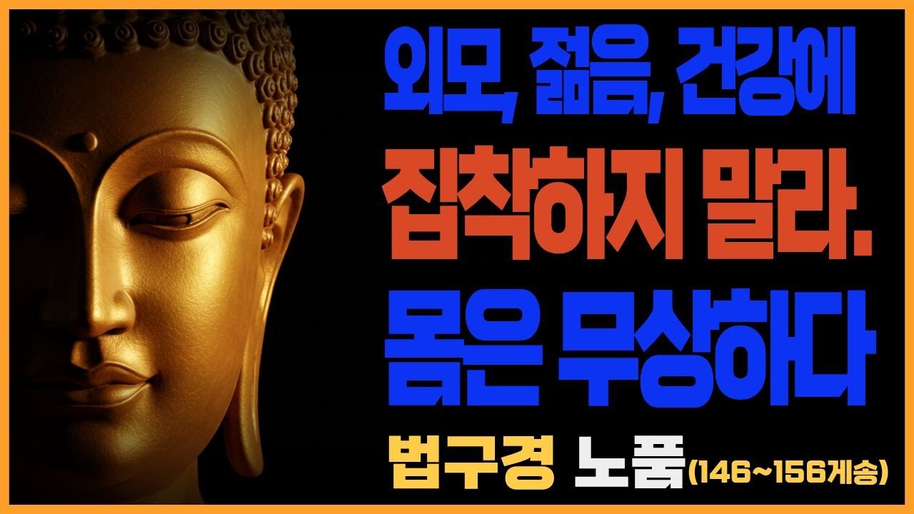 부처님 말씀_법구경 제11품 노품(146~156게송) ㅣ 늙음과 무상, 그리고 깨달음의 가르침, 불교말씀, 불교명상말씀, 불교, 불교철학
