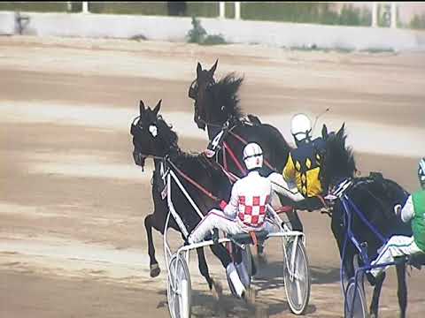 Trotto 14/10/2018 - 2ª corsa