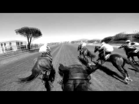 Cape Thoroughbred Sales Video 2016
