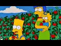 La Plantación De Tomaco Los Simpson TV Series