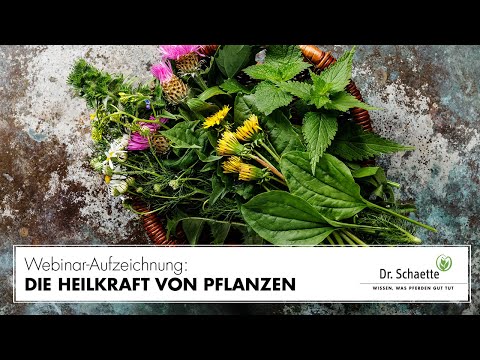 , title : 'Webinar-Aufzeichnung: Einführung Phytotherapie – die Heilkraft von Pflanzen'