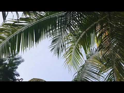 Video Lyrics How Deep is Your Love - Calvin Harris by HURLY BURLY (HD)