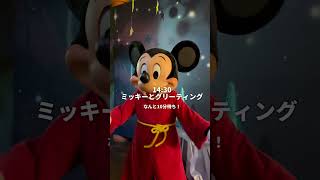 カリフォルニア🇺🇸ディズニーを効率よくまわる秘訣✨ライトニングレーン#海外ディズニー #ディズニーランド #アメリカディズニー #カリフォルニアディズニー #アナハイム