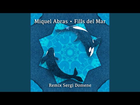 Fills de Mar (feat. Sergi Domene, Sergi Vila) (Remix Sergi Domene & Sergi Vila)