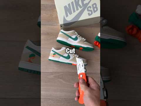 Jarritos Nike SB dunk hidden layer