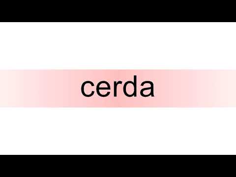How to pronounce cerda