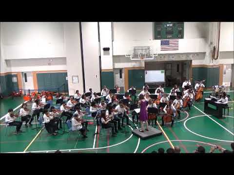 Yokosuka MS Intermediate Strings - Themes from Harry Potter arr. by Paul Cook