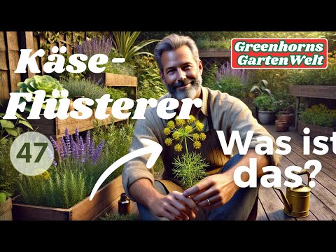 🧀 Labkraut – Der geheime Käseflüsterer! 🌿✨ Mittelalter, Magie & Käsekunst!