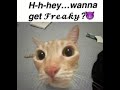 Freaky Playlist For Hypersexual Ppl