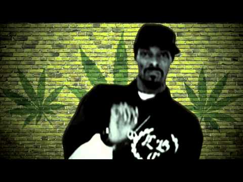 SNOOP DOGG DANCE EVERYDAY!