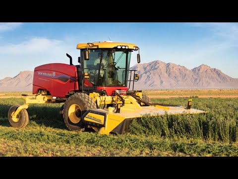 Introducing Speedrower® PLUS Series Windrowers