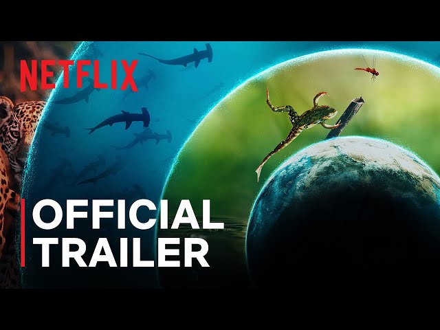 Official Trailer