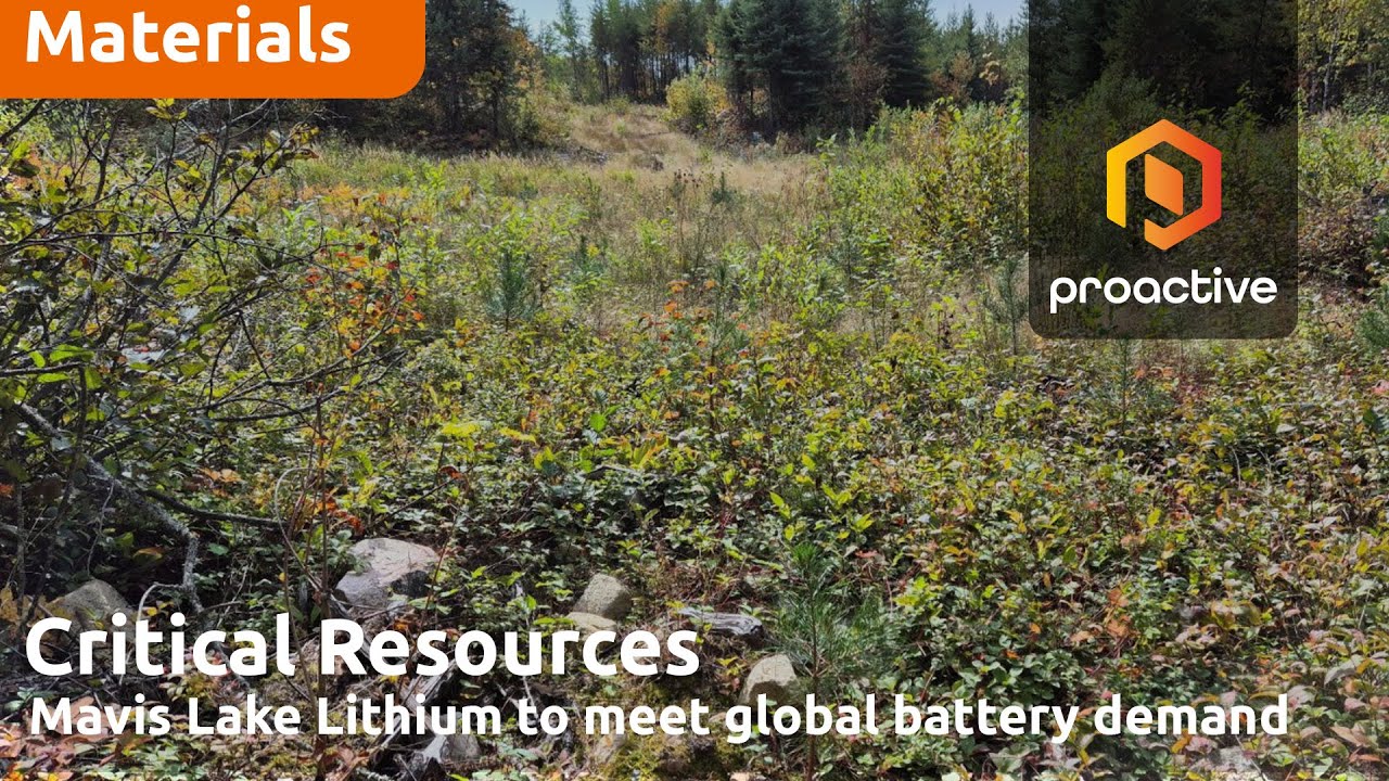Tim Wither on Critical Resources' Mavis Lake expansion strategy