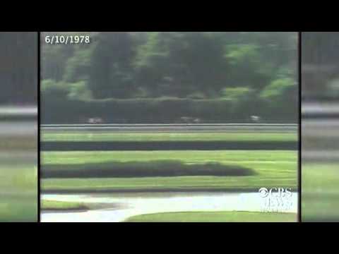 Watch: Affirmed completes the Triple Crown in 1978