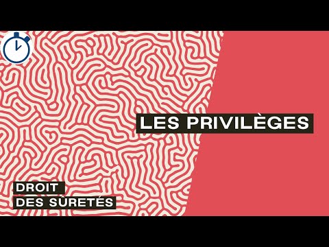 Les Privilèges (généraux, mobiliers et immobiliers) : [Droit des sûretés]