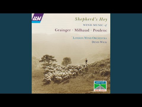 Traditional: Irish Tune from County Derry