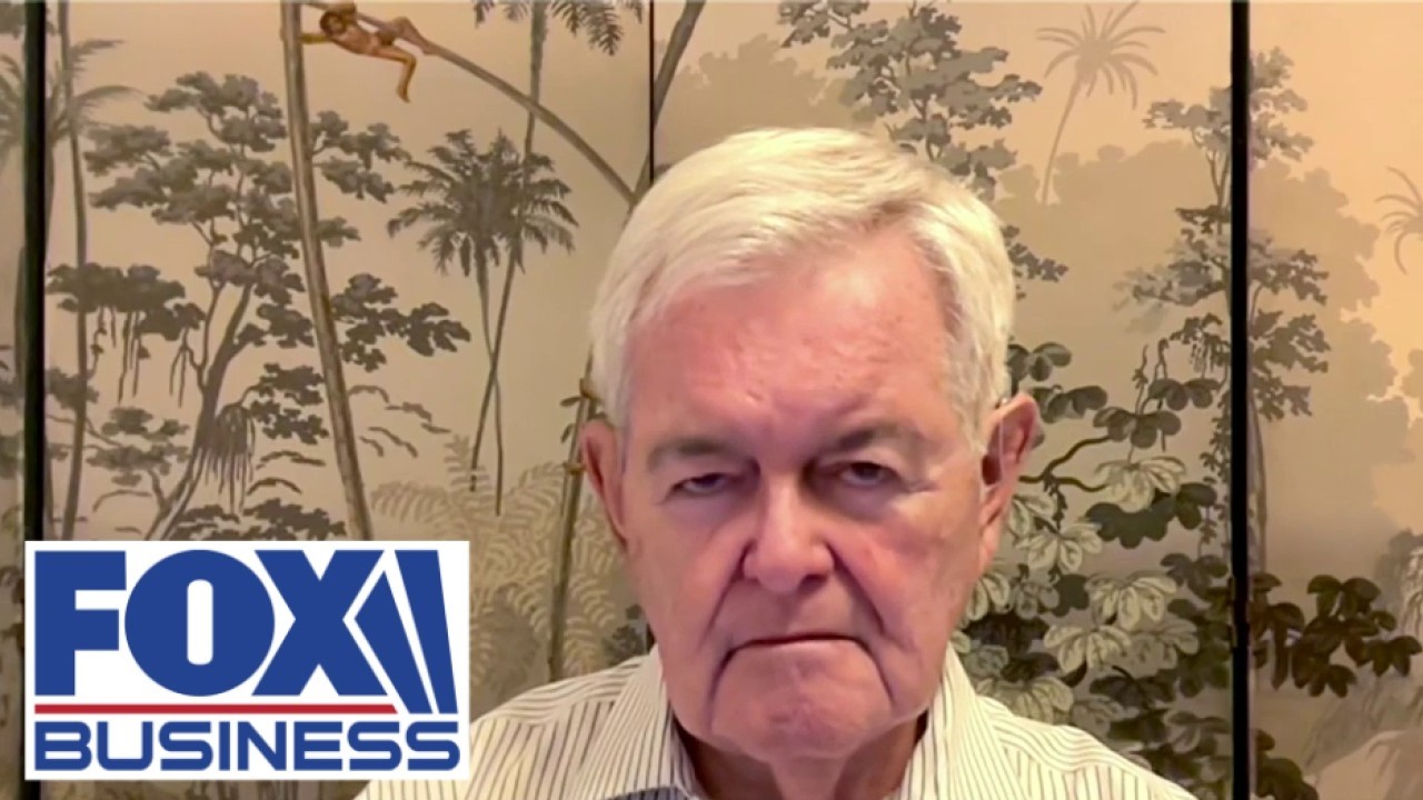 Newt Gingrich: In the end, you HAVE TO BREAK the regime