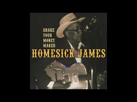Homesick James - Shake Your Money Maker