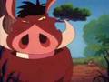 Timon and Pumbaa - Yummy yummy yummy HD ...