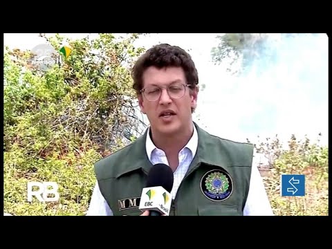 Senadores repercutem saída de Ricardo Salles do Ministério do Meio Ambiente