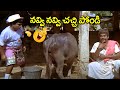 Babu Mohan Back To Back Comedy Scenes Kota Srinivasa Rao Babu Mohan Comedy Scenes IDream