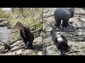 Anastasia Gets Seriously Stuck And Lost Her Boots In The Mud