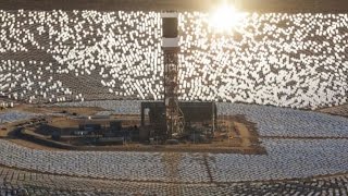California solar power plants ignite birds mid-flight