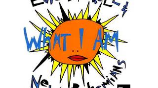 Edie Brickell &amp; The New Bohemians - What I Am (LYRICS)
