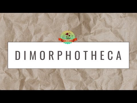 , title : 'La Dimorphoteca: características, cuidados y usos'
