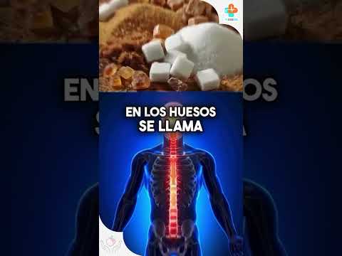 💀😲 El azúcar MATA 🍦🍭 | Tu Salud Guía