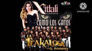 Edwin Luna y La Trakalosa De Monterrey - Como Los Gatos (Feat. Xitlali Sarmiento) (Audio)