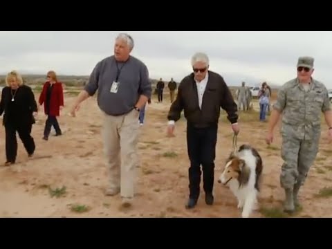 Lassie Returns to the Ruins of the Happy Bottom Riding Club