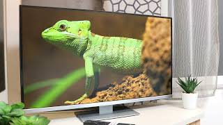 FALCON 27" WebOS Smart Camping TV - 178 Degree Viewing Angles, DVD Player, Bluetooth, 3 x HDMI, 