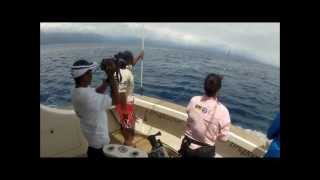 preview picture of video 'Drug Runner - Rabaul sailfish PNG'
