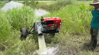 ส่งมอบพร้อมสาธิต เครื่องสูบน้ำดีเซล ท่อพญานาคสแตนเลส ขนาด 8 นิ้ว ยาว 6 เมตร ส่งมอบพร้อมสาธิต เครื่องสูบน้ำดีเซล ท่อพญานาคสแตนเลส ขนาด 8 นิ้ว ยาว 6 เมตร