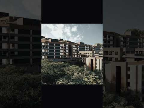 Cesión de derechos en Primitiv Origen La Ceja, Antioquia.