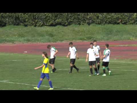 Ausonia 1931 - Pergolettese  3-0