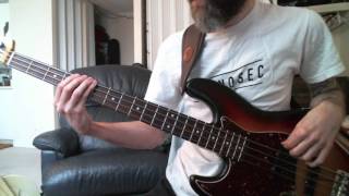 The Haden Triplets - Raining, Raining (bass cover)