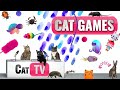 CAT Games | Ultimate Cat TV Compilation Vol 38 | 2 HOURS 🐝🐞🦋🦎🦜🐜🐭🧵