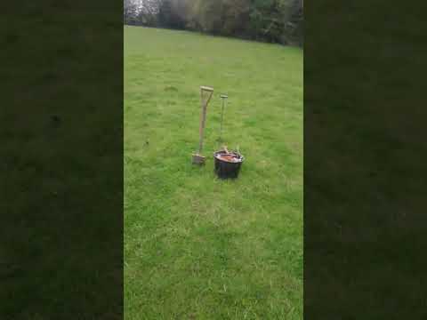 Trapping moles in Essex