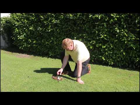 Ref Poser   Loose Impediments