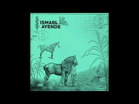 Ismael Ayende - DMT