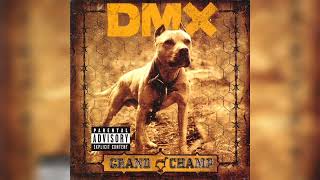 DMX - Fuck Y&#39;all (2003)