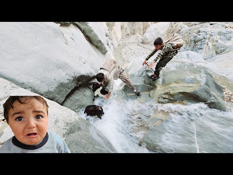 "The hard work of a nomadic family to find the lost goats in the mountains"