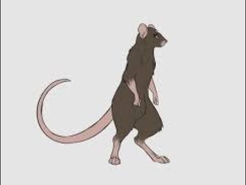 a new foe has appeared