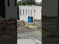 Homepage 1 Video thumbnail