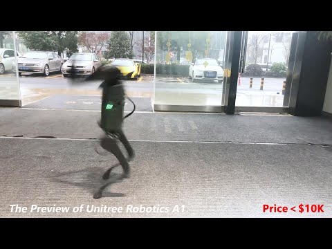 The Preview of Unitree A1