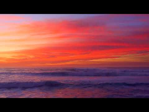 Thinking Like Flowers - Soft Meditative Music For The Mind, Body And Soul